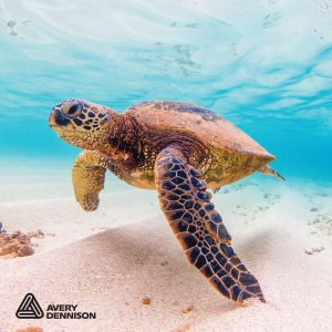 Avery Dennison MPI 3302 Easy Apply