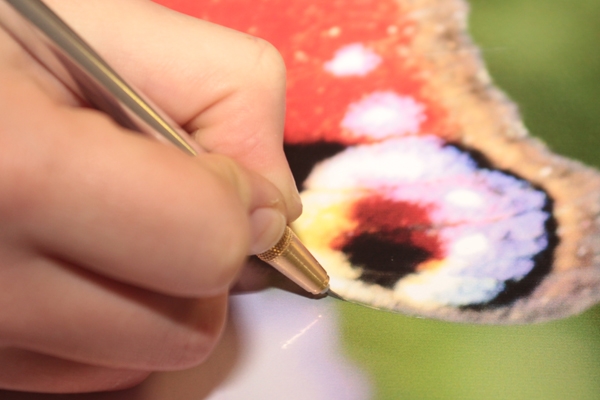 Yello Janus SwivelKnife